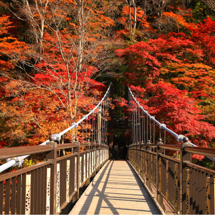 紅の吊橋 クチコミ・アクセス・営業時間塩原温泉郷 フォートラベル