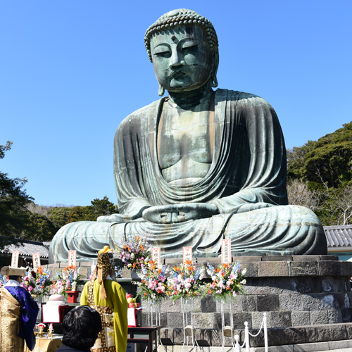 鶴岡八幡宮由緒ある鎌倉の守護神社の歴史と見どころ、参拝情報を完全ガイド – わのっとメディア