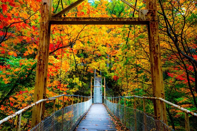 四季の楽しみ方 〜春旅あきた〜アキタファン