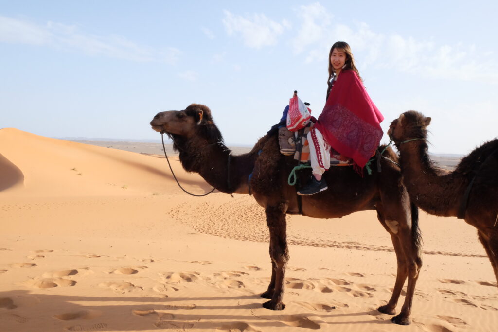 モロッコのオプショナルツアーを探す海外現地ツアー格安予約 HIS