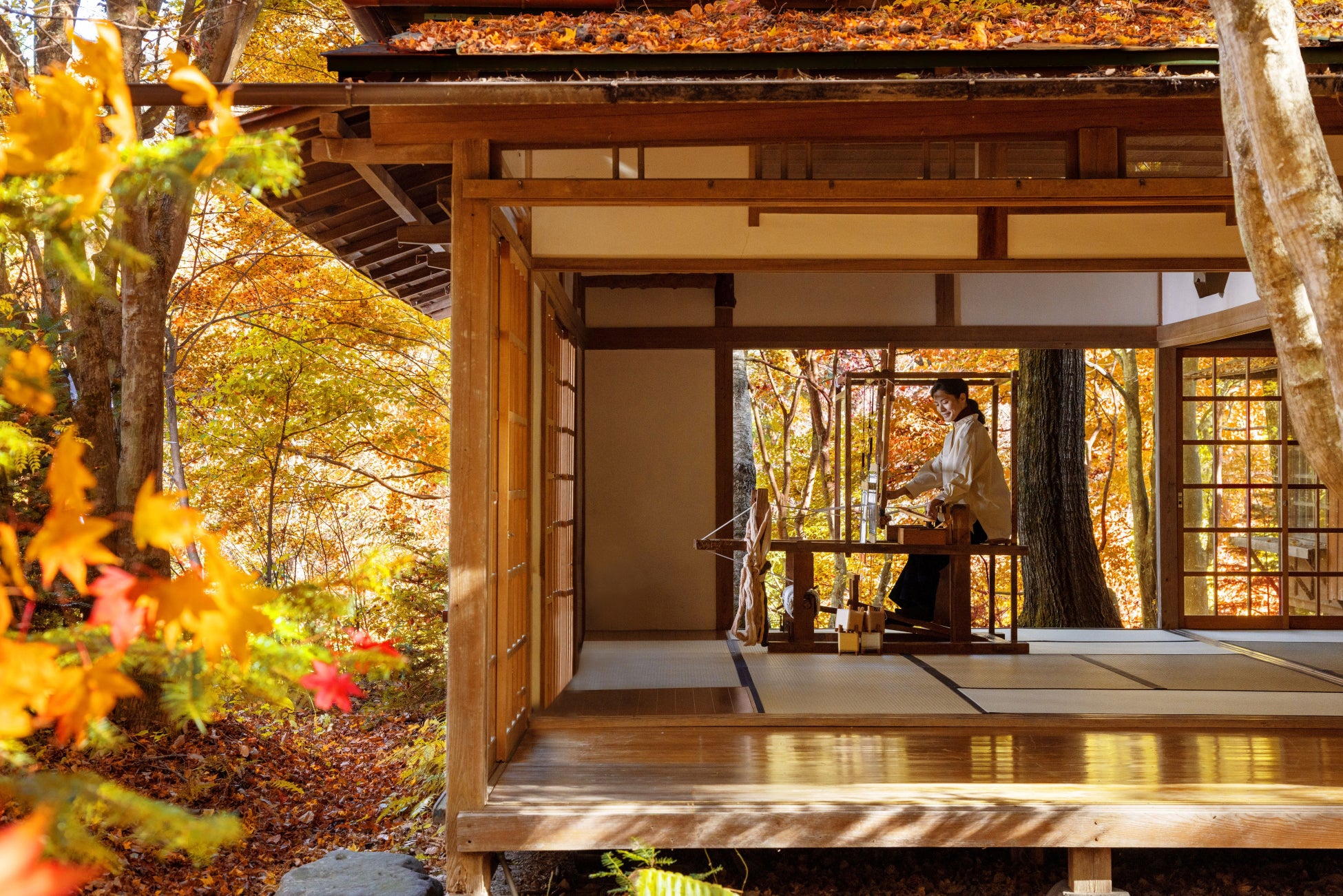 2024年版 軽井沢の人気紅葉スポット8選！見頃の時期やライトアップ情報も紹介 - 日本の観光メディアMATCHA