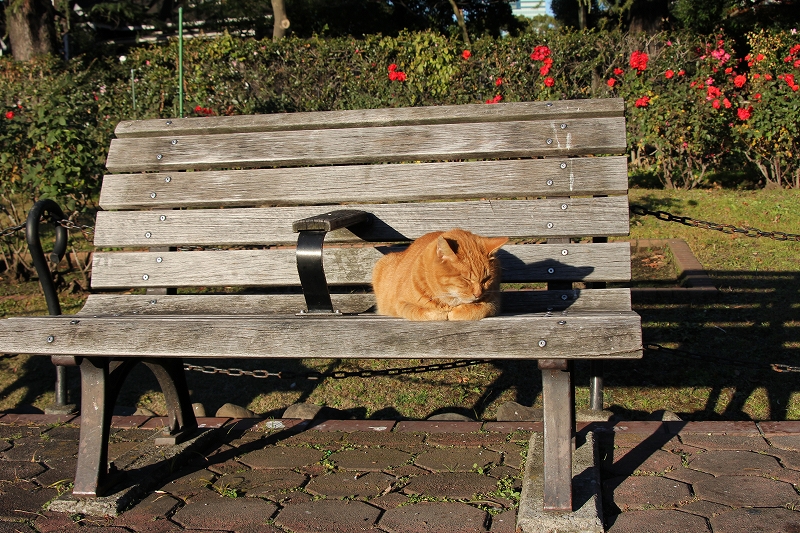 日比谷駅 昼寝スポットのゆっくりできる場所のレンタルスペース - スペースマーケット