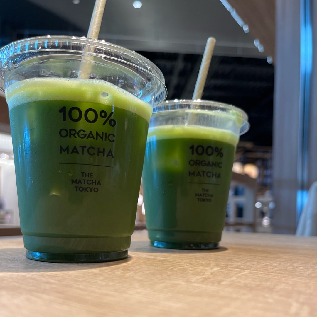 釜山女一人旅2024 ソラリア西鉄ホテル釜山をおすすめする理由日本語OKでトコジラミも安心東横インとどっちを選ぶ？ナレーションと旅する