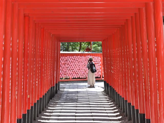 犬山城の歴史と見どころ 美しい写真で巡る -