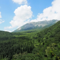 鍵掛峠展望台 の周辺スポット・アクセス・口コミ -