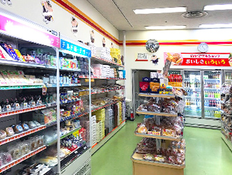 竹芝客船ターミナル 竹芝埠頭公園の夜景情報 行き方・入場料金・営業時間・景色