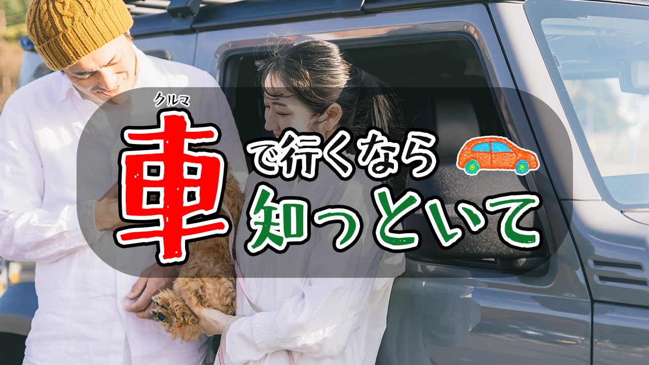 涼を求めて お盆休み最後の日は・那須町「那須岳・峠の茶屋駐車場」にて - 栃木発「ちゃりあん」ブログ２