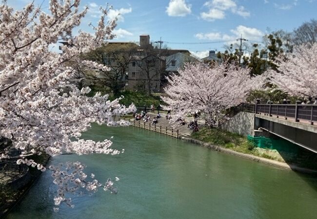 可愛すぎる全キャラクターのイラストバナーエーペックスレジェンズ - APEX攻略速報まとめ＠エペ速