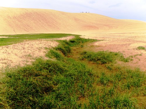 鳥取の観光地は砂丘だけじゃない！鳥取砂丘の周辺のおすすめ観光スポット10選SPOT
