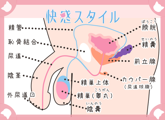 人妻の痴態…お尻とおまんこからおもらししながらイク、変態ドM人妻オナニー