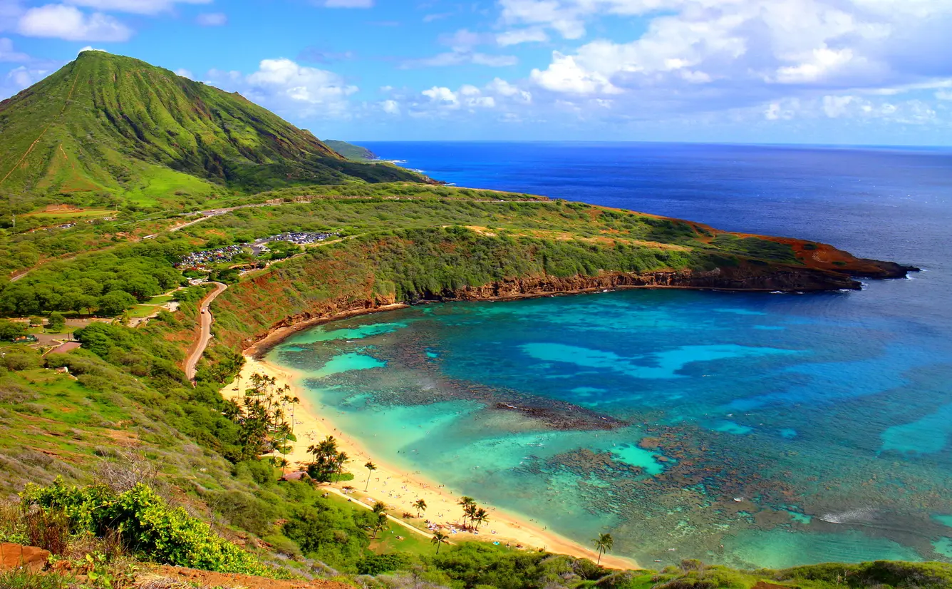 ハワイの人気シュノーケルビーチTOP5 魚の大群と泳げる定番＆穴場スポット- アロアロトラベルハワイの現地オプショナルツア