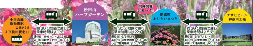 福岡 絶景！紫陽花スポット アジサイの名所「高塔山」に74500株が咲き誇る！6 9、16『若松あじさい祭り』開催 北九州市