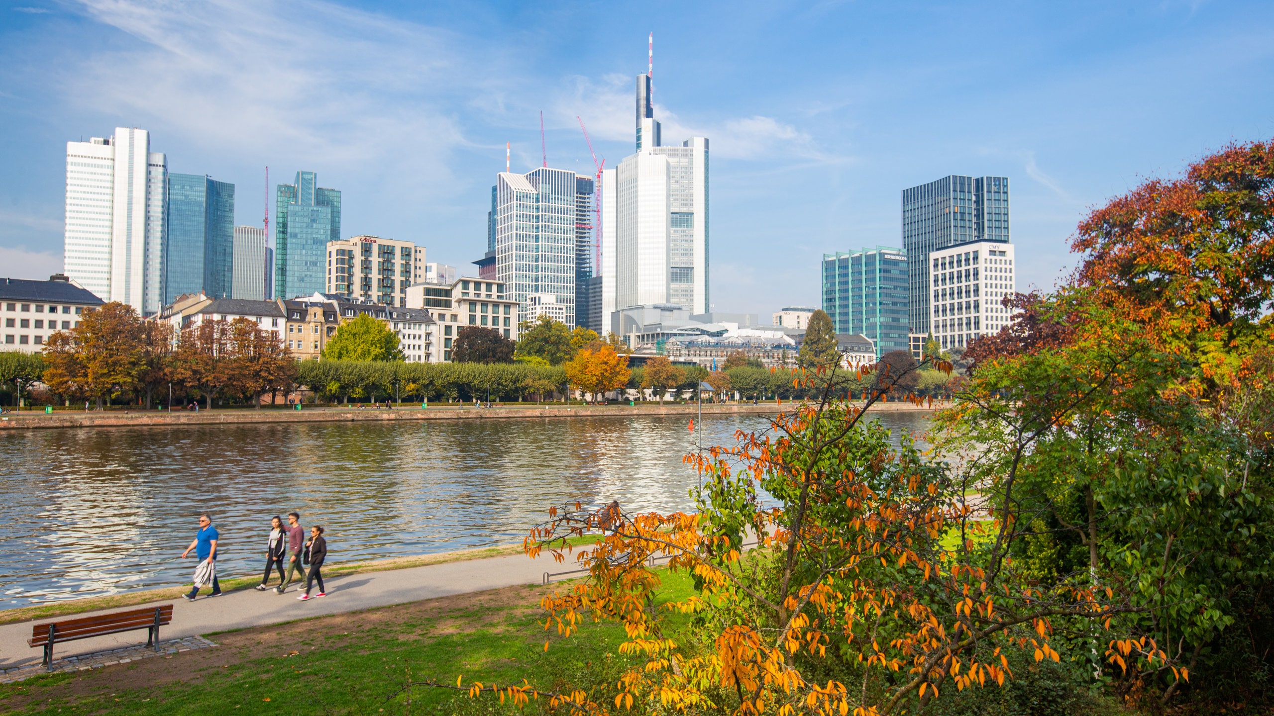 フランクフルトの夜はザクセンハウゼンに行かなきゃ損！ - Once
