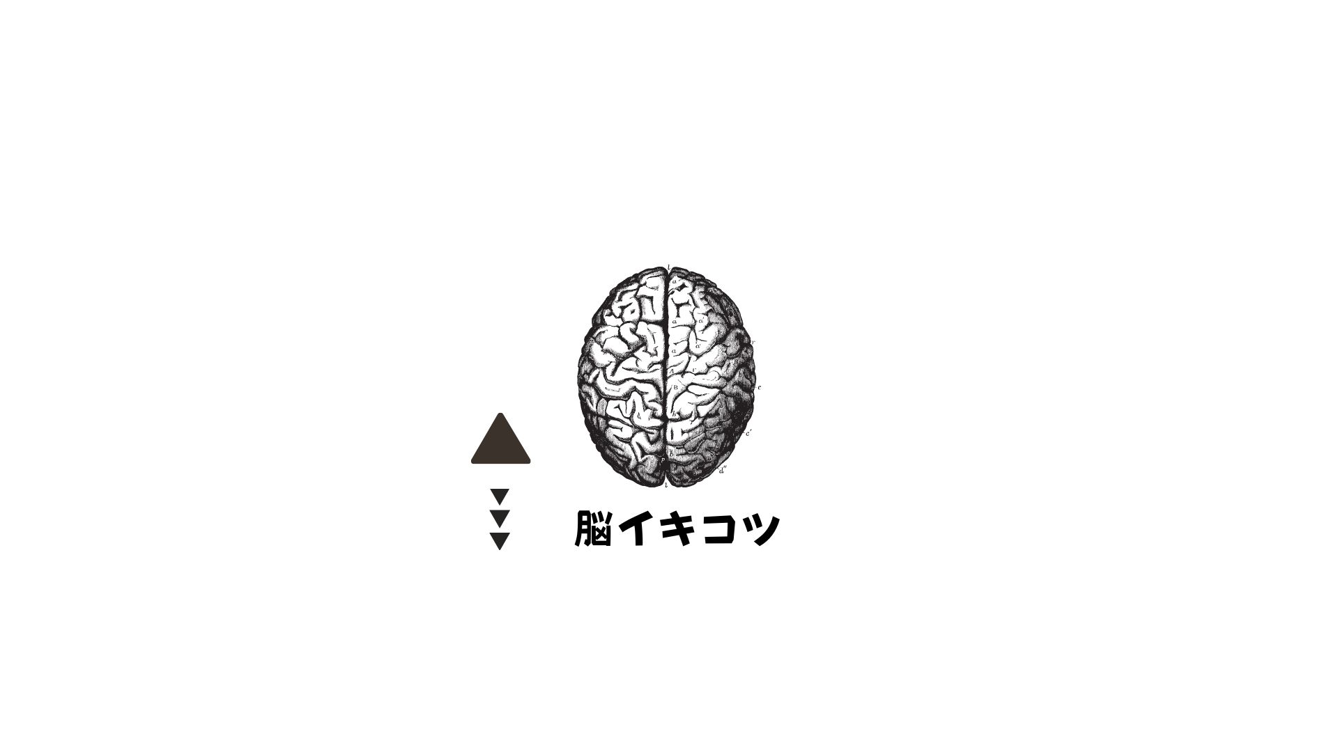 Amazon.co.jp: 脳イキ: 脳イキの初歩 脳イキ催眠術のカラクリ