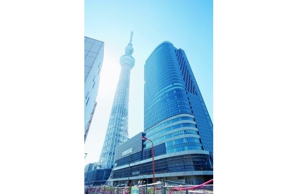 東京スカイツリー開業10年 世界一の電波塔の傍らで地元と苦楽を歩む「下町人情キラキラ橘商店街」：東京新聞デジタル