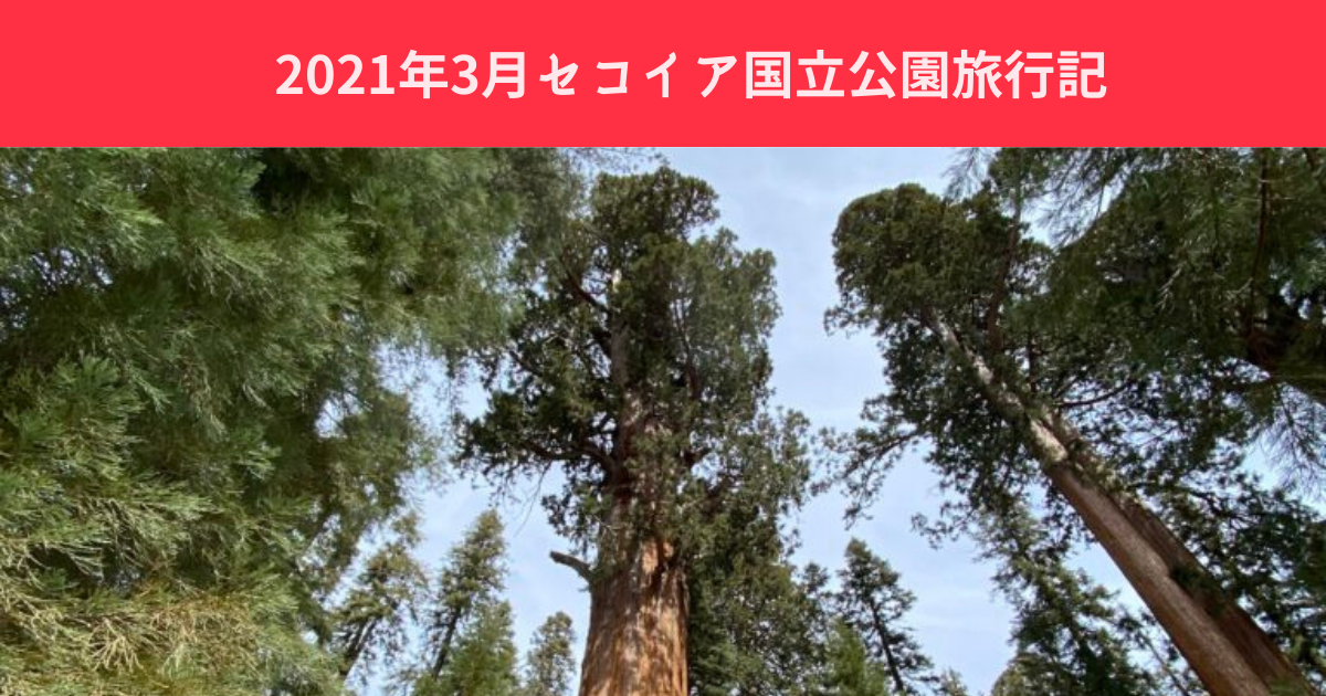 セコイア&キングス・キャニオン国立公園をロードトリップ – 1日目 - HowtoRoadTrip.com