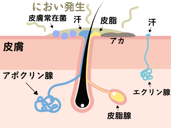 おりものがありますか？｜漢方と鍼灸 株式会社誠心堂薬局