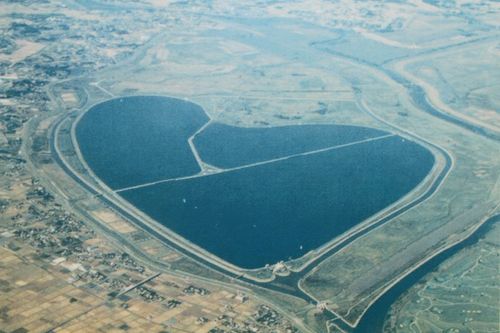 令和７年度 渡良瀬遊水地ヨシ焼きのお知らせ - 栃木市ホームページ