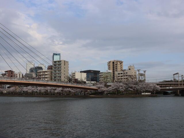 eaudevie-osaka on X: 