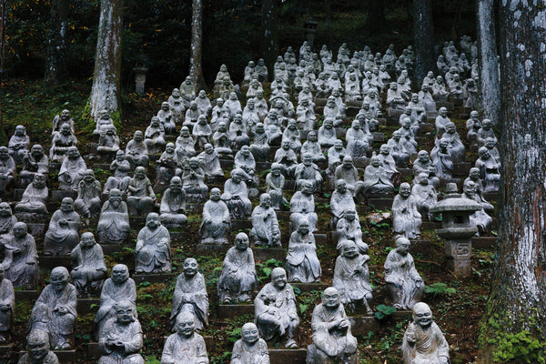 ＜糸島へ行こう！＞雷山千如寺 大悲王院 春夏編