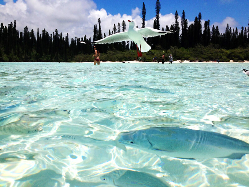 海外 ビーチリゾートを厳選！世界人気ホテルならフォーティ・ナインリゾーツ