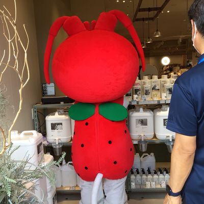 海老名駅前に複合施設「ビナガーデンズパーチ」10月28日オープン。飲食・物販など21店舗が続々開業 - トラベル Watch