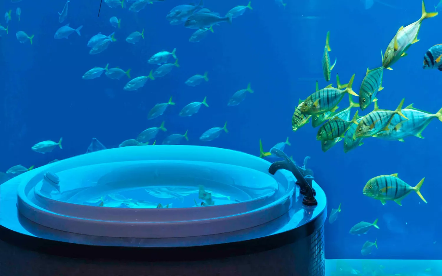 海中ビジネスビックバン〜海中ホテル&レストラン〜」 世界の海中ホテル✨ 海中を目指す取り組みがどんどん誕生しています！https:www.skyscanner.jp