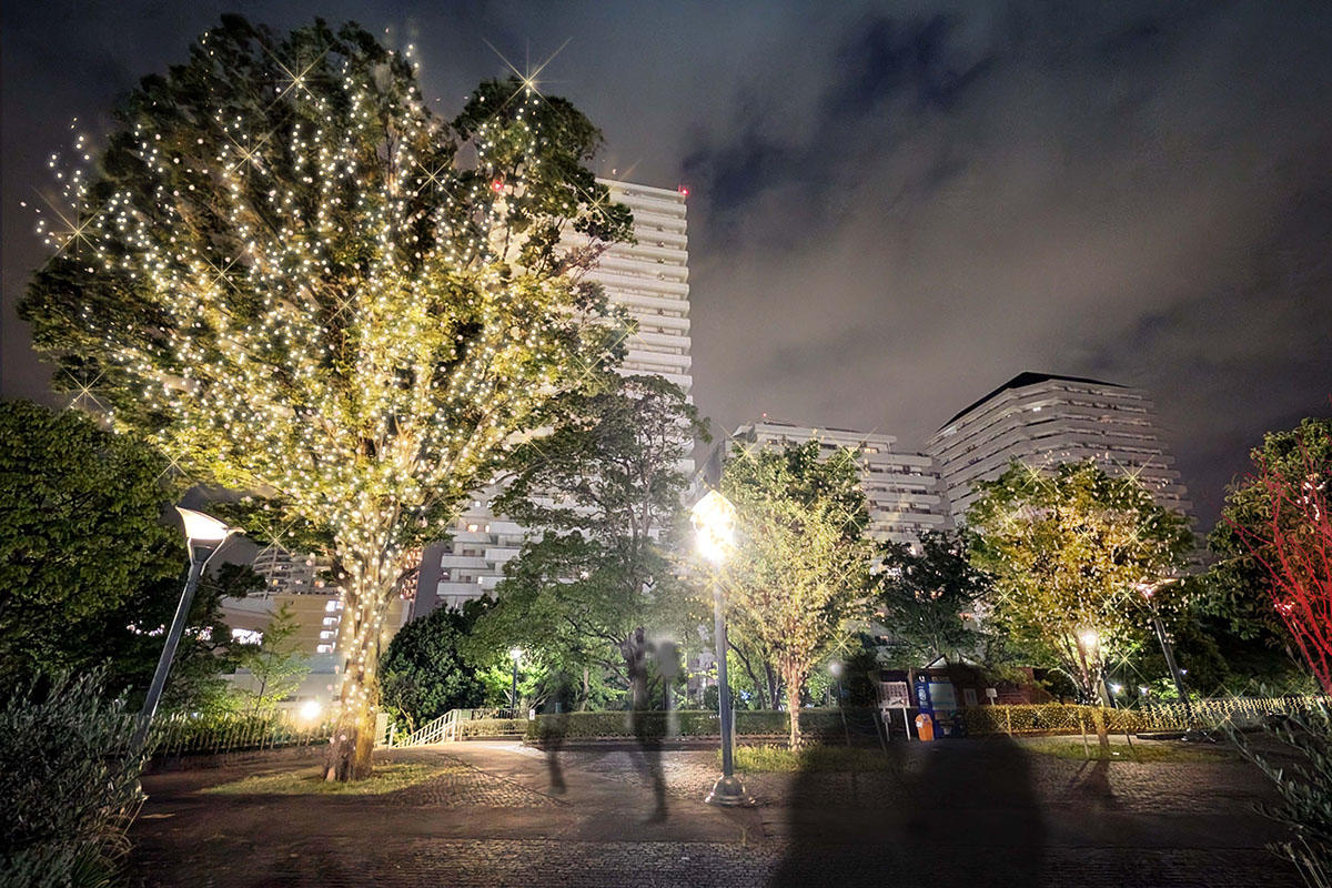 施工事例 - 無垢,自然素材の注文住宅の工務店 埼玉県川口市ライクスホーム