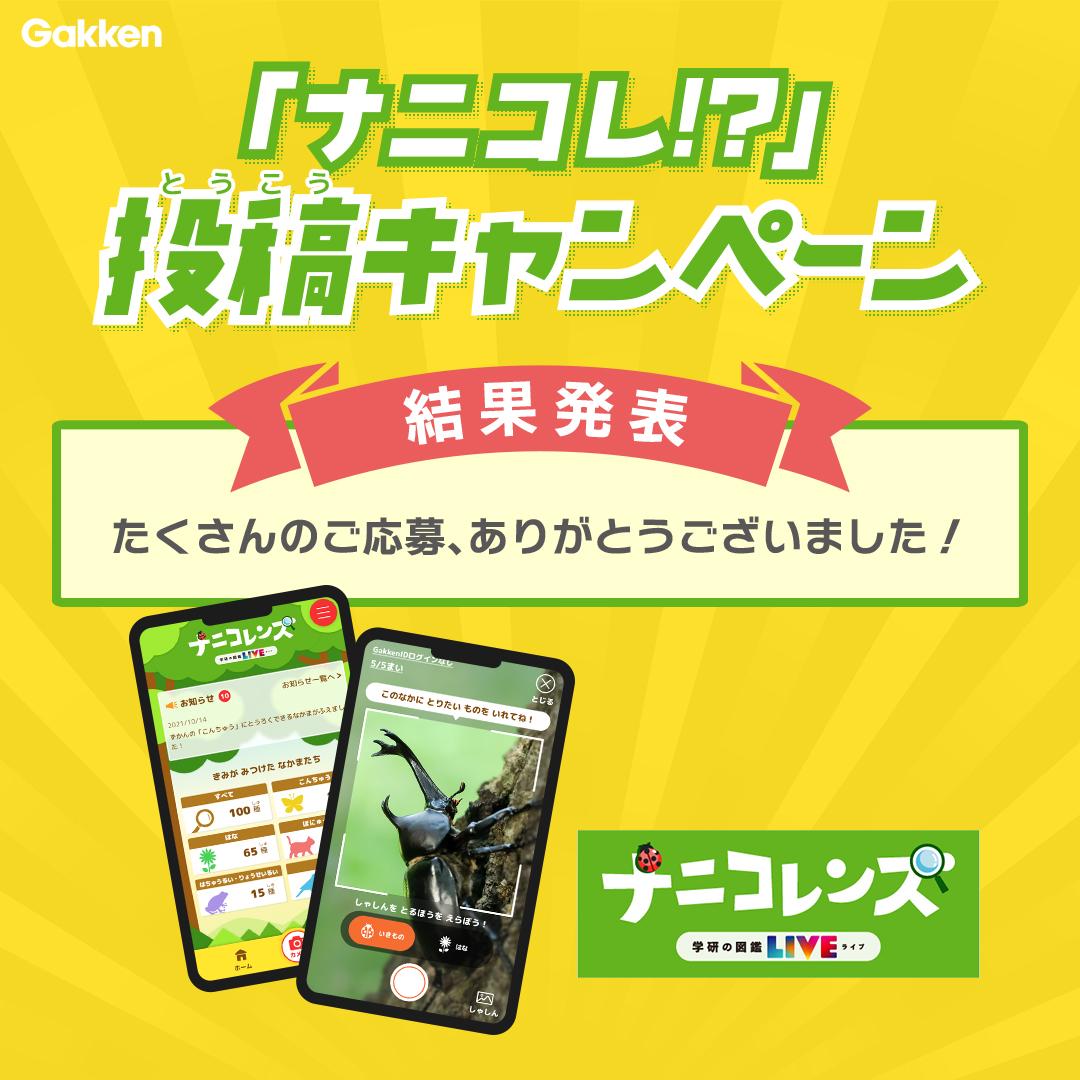 コーナン品川旗の台店 | コーナン公式サイト