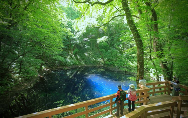 白神山地旅行・ツアー・観光特集 ～世界遺産のブナの森でハイキング、おすすめのみどころを紹介～ユーラシア旅行社