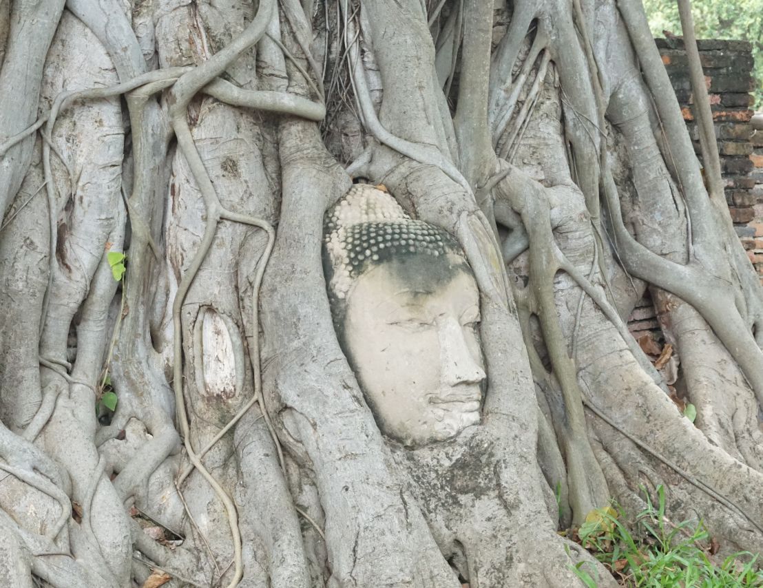 アユタヤ遺跡おすすめ観光スポット10選！タイ世界遺産の歴史公園をご紹介！BUYMA TRAVEL海外現地オプショナルツアー予約