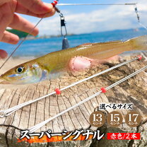 カレイ狙いのエサにマムシ！仕掛けは！フィッシングマックス 関西の釣果大阪・神戸・和歌山の釣果情報