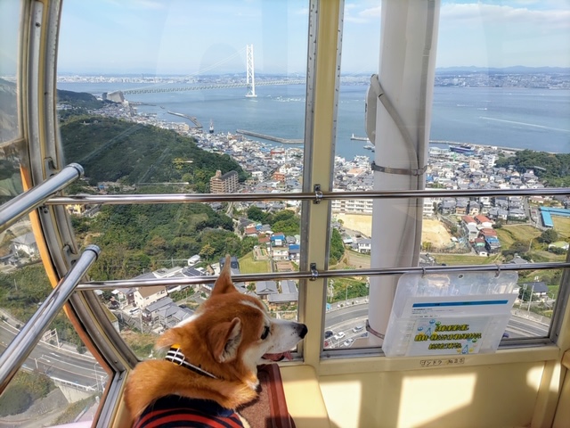 go to 淡路島！川西に暮らす