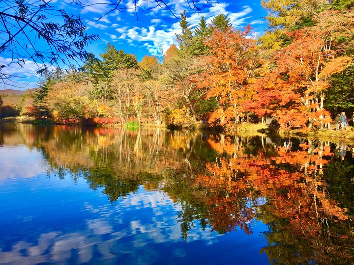 2025 軽井沢の紅葉スポット7選！見頃時期やおすすめの見どころを紹介 じゃらんニュース