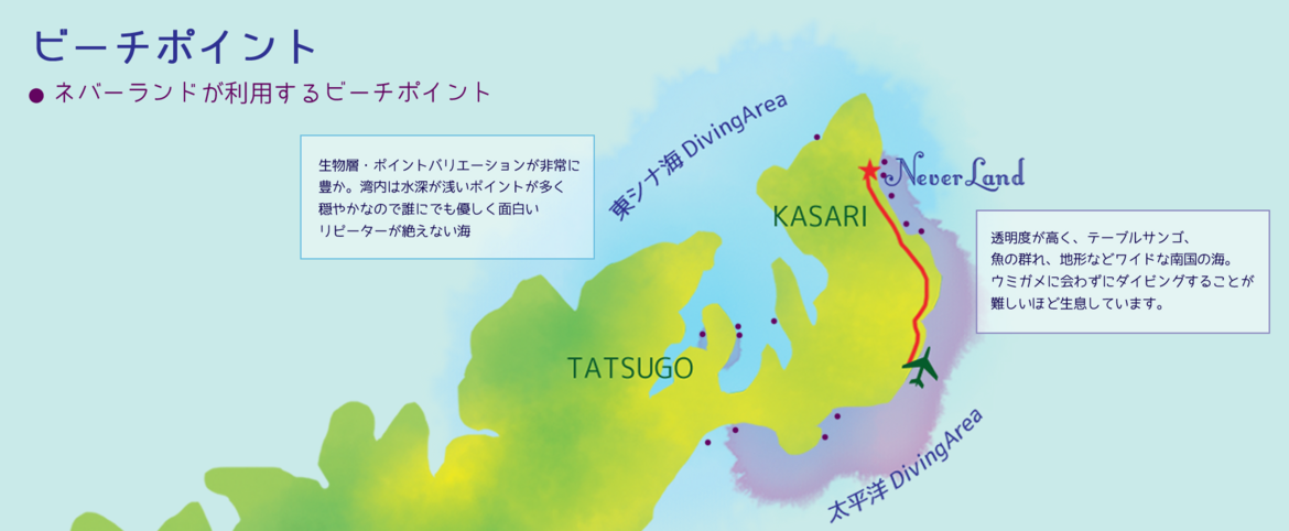 世界自然遺産ー奄美大島とは - 奄美大島世界遺産センタ