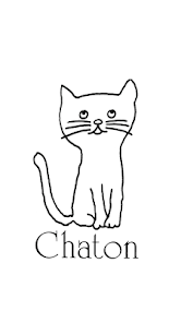 Chaton in Mielno, Poland