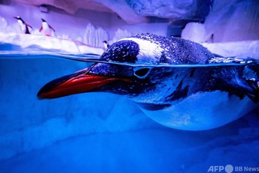 カセサート大学にある「バンコク水族館」に行ってきた！BE AMBITIOUS