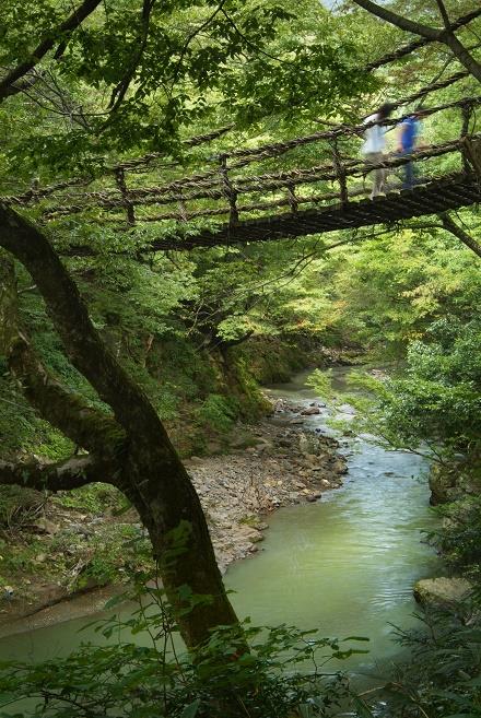 かずら橋 福井県今立郡池田町土合皿尾 ここで愛を誓うと幸せになるという