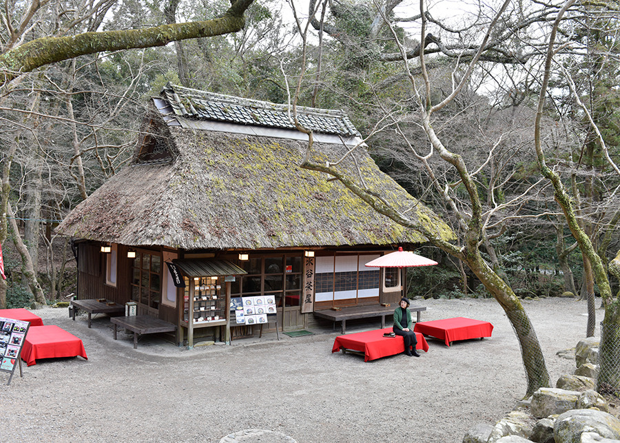 色鮮やかな奈良公園 人気スポットの水谷茶屋Narapic 奈良の写真いろいろブログ