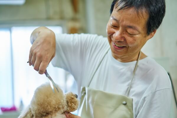 靴をくわえて登場した犬、その後「ペットハウスの陰に靴を隠す」行動に！ 気になる心理は？｜獣医師解説｜いぬのきもちWEB MAGAZINE