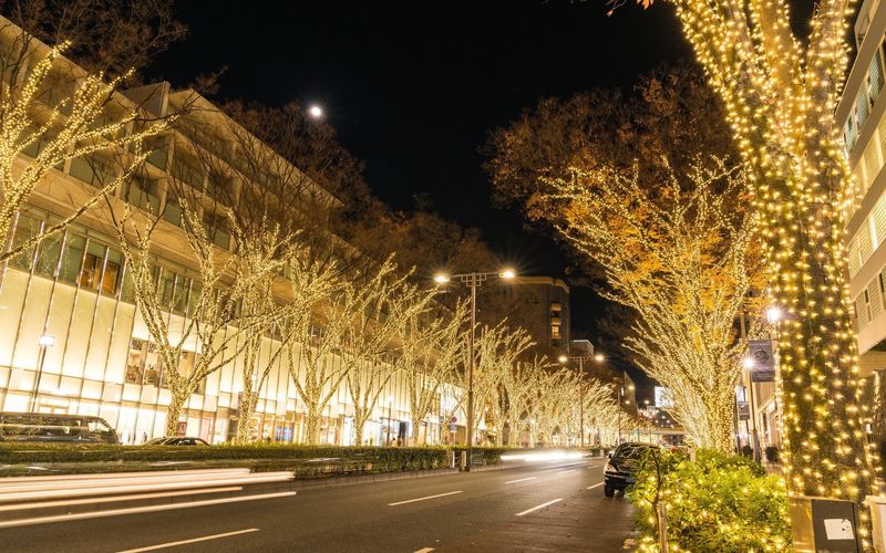 2024-2025年最新 イルミネーション図鑑 東京 冬のクリスマスデートを彩る -