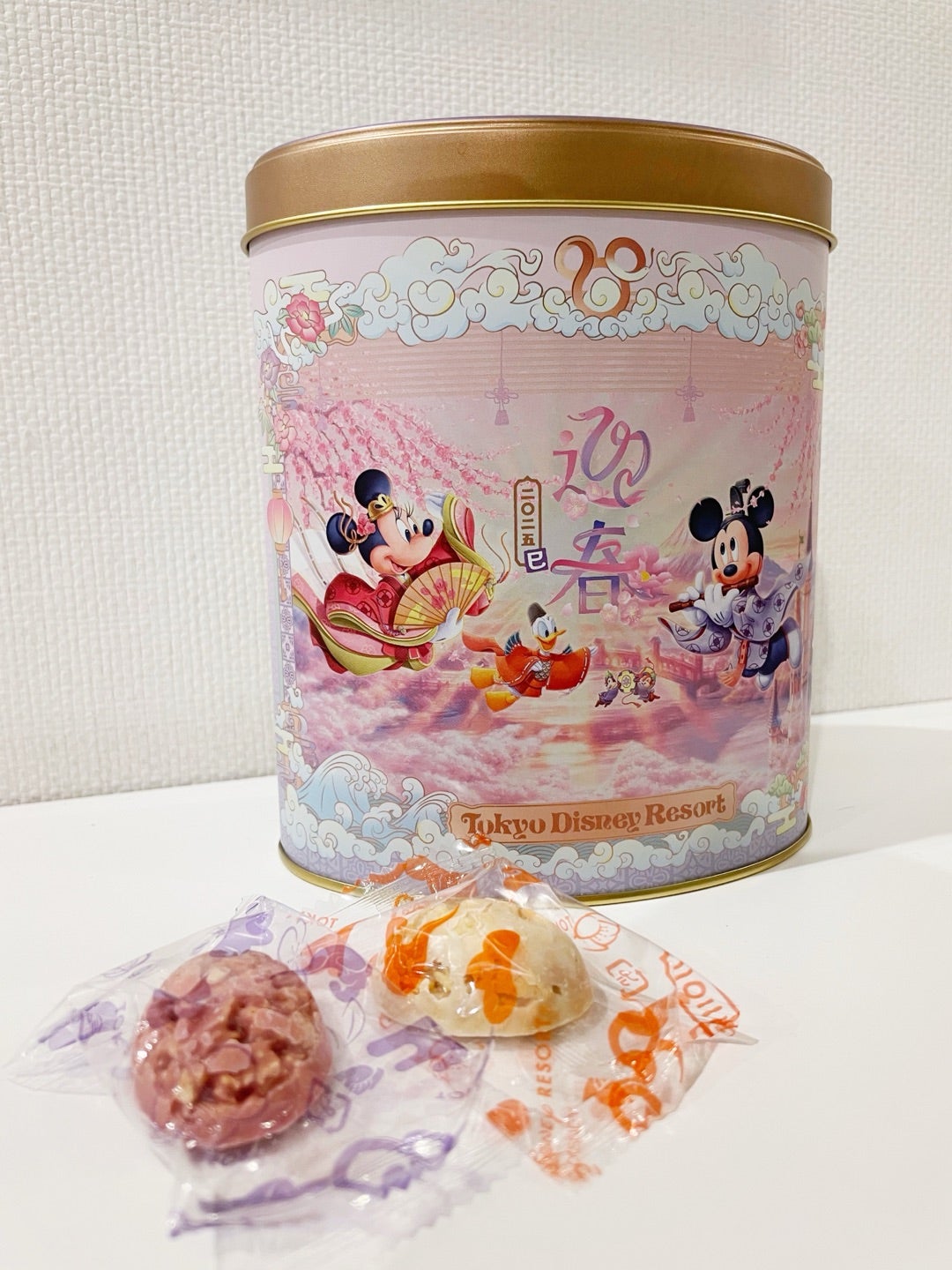 イクスピアリ＆ボン・ボヤージュ ☆東京ディズニーリゾート25年目に』東京ディズニーリゾート 千葉県