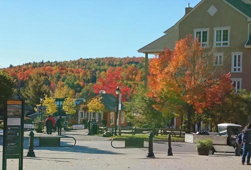 2,492,400点を超えるカナダのストックフォト、写真、そしてロイヤリティフリーの画像 - iStockオーストラリア, アメリカ,ニュージーランド
