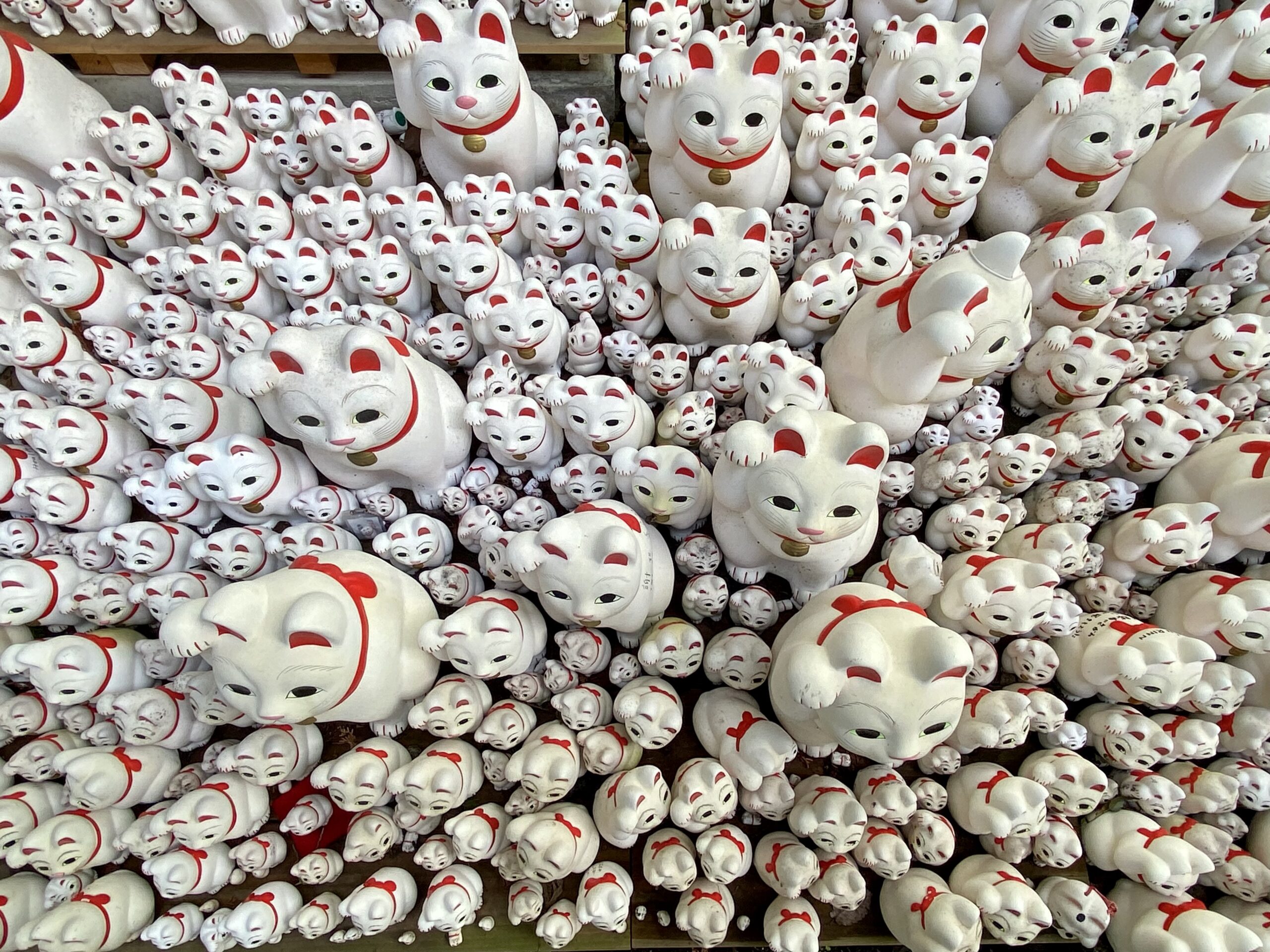 八郷の日々: 豪徳寺の招き猫