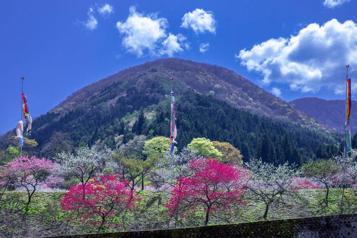 遥 はるか の宿26＊弓ヶ浜温泉「季一遊」 静岡県賀茂郡南伊豆町