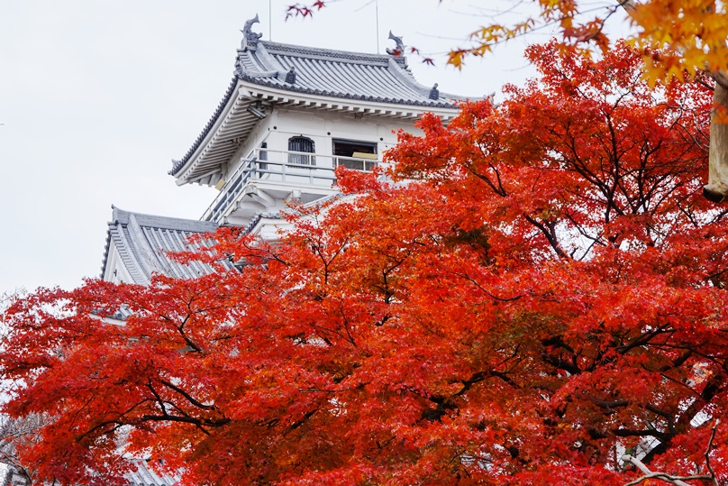 閉店 びわ湖温泉 紅葉旧店名旅亭紅葉- 大津京