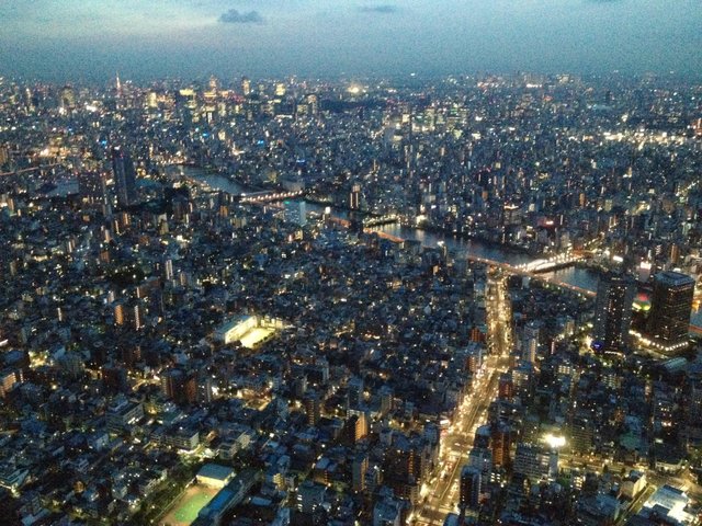 東京スカイツリーからの景色 ｉｎ 東京♪ : おなかいっぱい