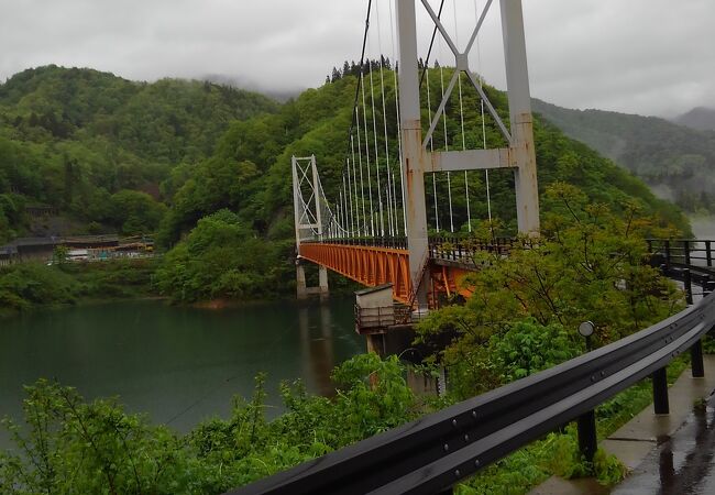 池田町の大自然の中で揺れる吊り橋でドキドキ！│かずら橋日々URALA ウララ 福井県のおすすめ情報