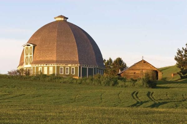 サウジアラビアが農業部門の確保に重要な一歩を踏み出したARAB NEWS