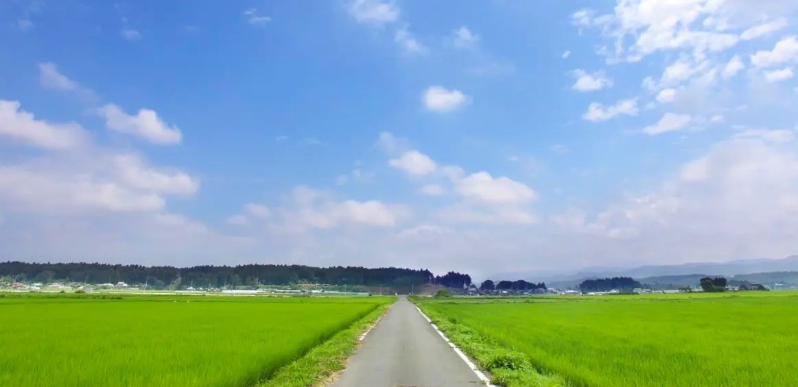 グリーンツーリズム」とは？自然のなかで農漁業体験や人々との交流を楽しもうGreenfield グリーンフィールド